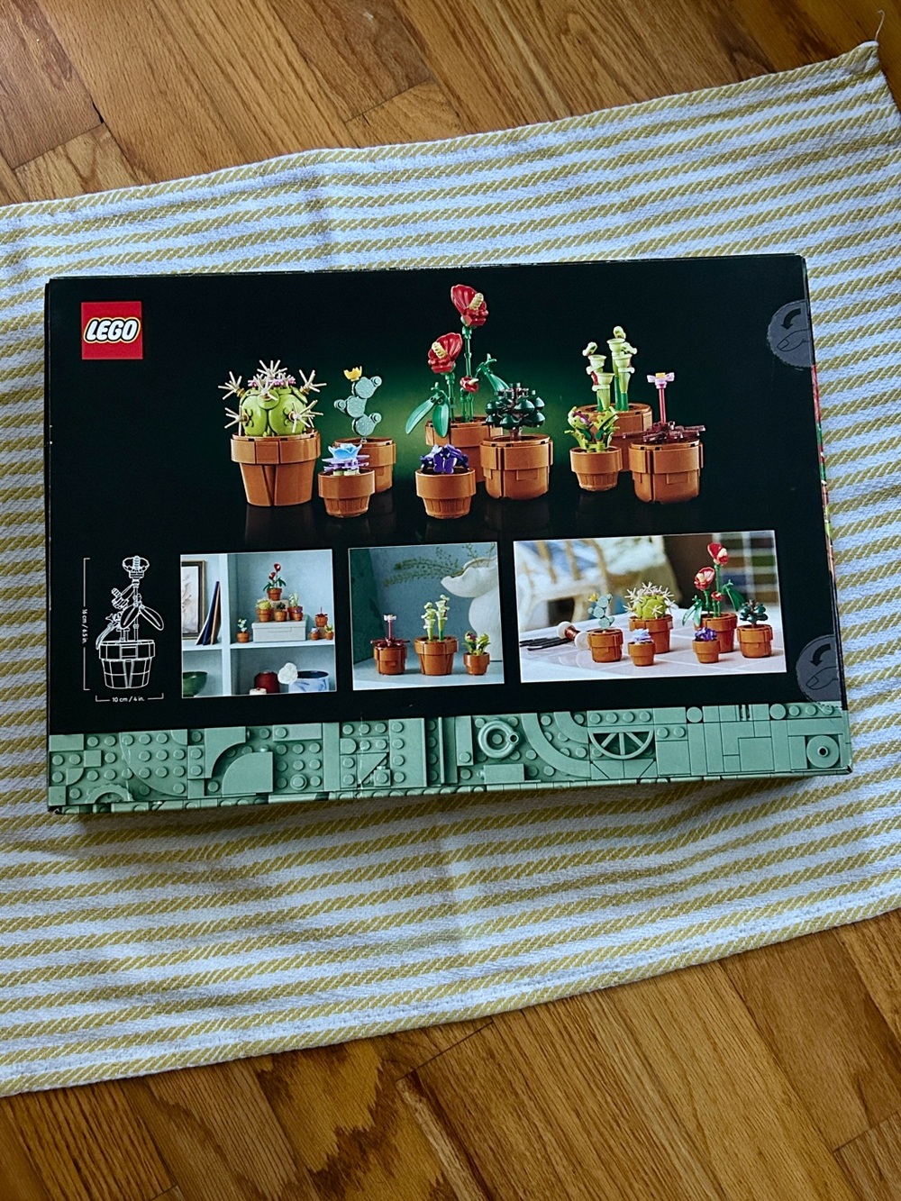 LEGO Icons Botanical Collection Tiny Plants set (10329) - Picture 3 of 11